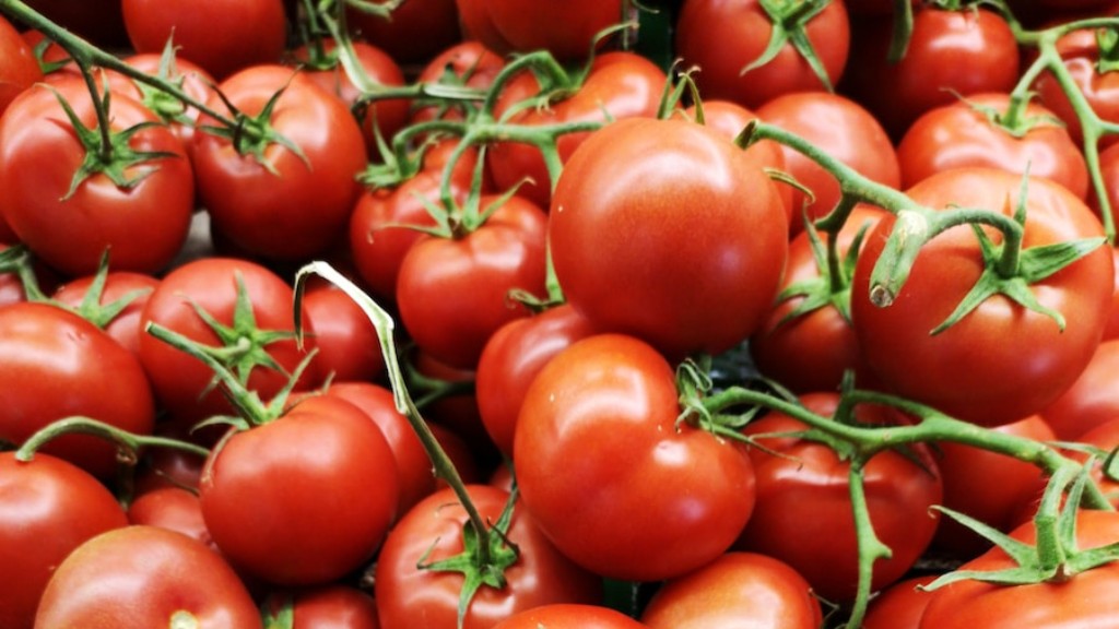 Скільки варити помідори для консервації